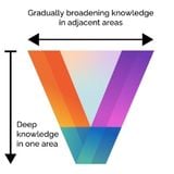 V-shaped expertise